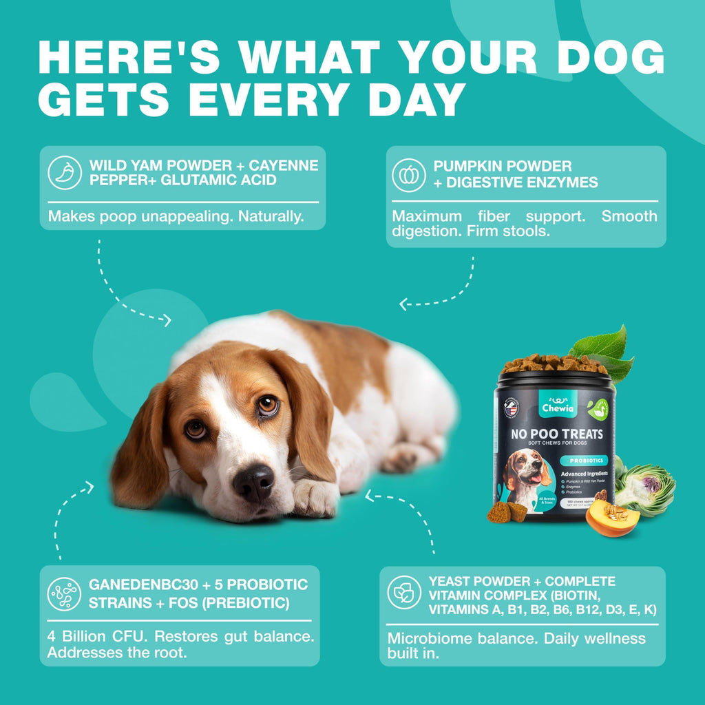No Poo Chews for Dogs  Coprophagia Deterrent  Dog Probiotics for Digestive Health with Enzymes  Canine Stool Eating Deterrent  Digestive, Dental, Gut & Immune Health Treats  No Poop Eating