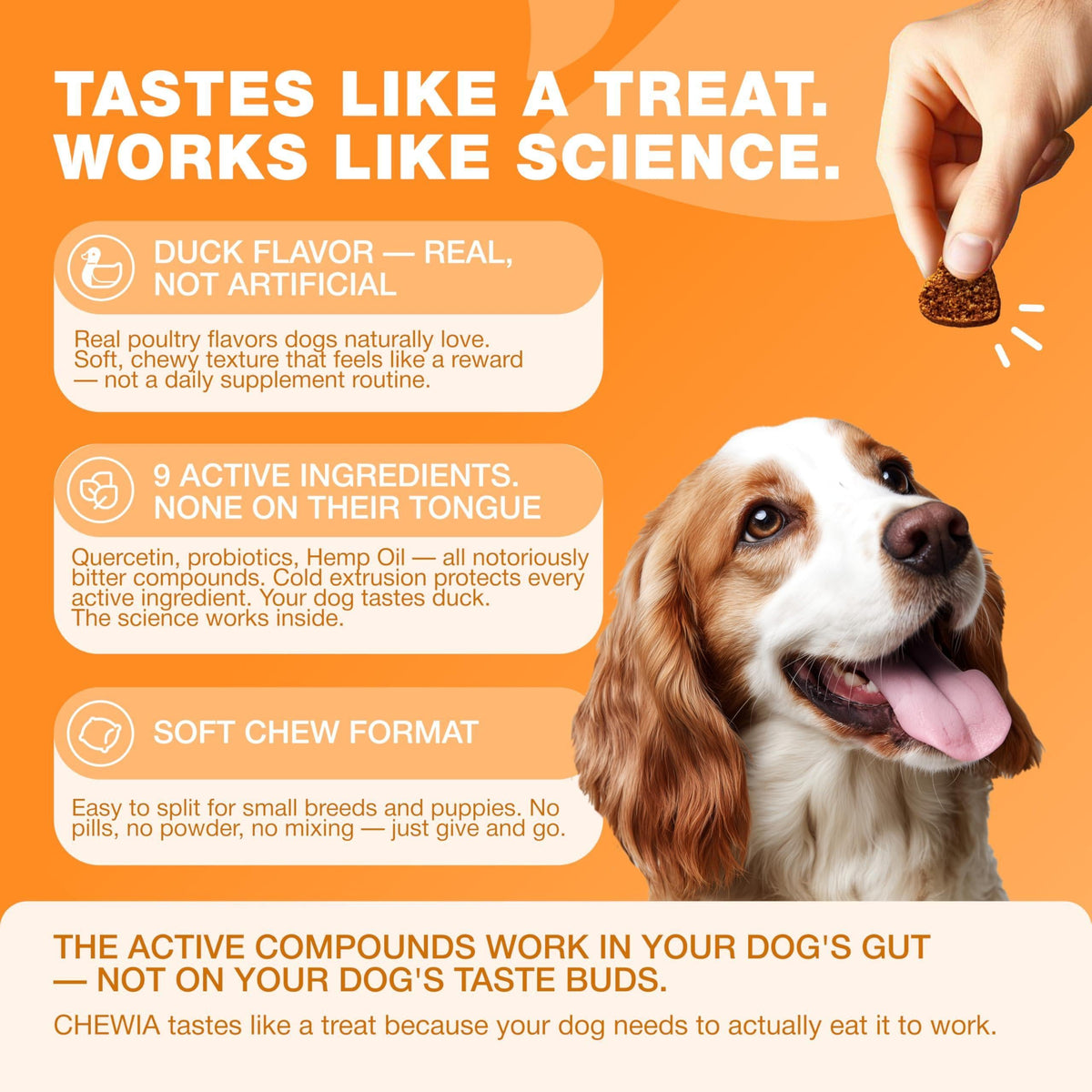 Dog Allergy Relief Chews  Itch Relief for Dogs  180 Allergy Chews for Itching Skin with Probiotics, Colostrum, Salmon Oil  Allergy, Skin and Coat, Immune, Digestion Support Supplement  Hot Spots