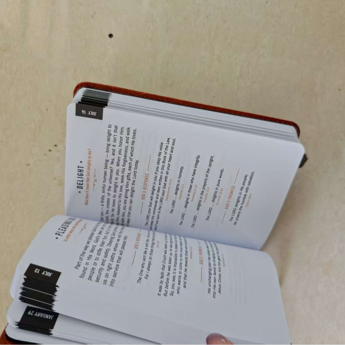 Daily Prayer Devotional Book