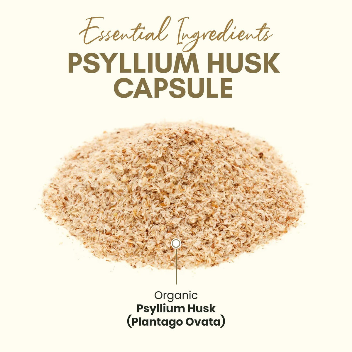 Zealthy Life   Psyllium Husk Capsules All Natural Psyllium Husk Fiber Psyllium Husk Capsule for Gut Health Non GMO & Gluten Free 250 Vegan Capsules   Pack of 2