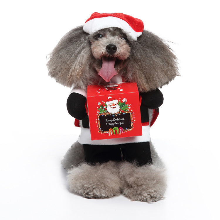 Cute Animal Pet Costume