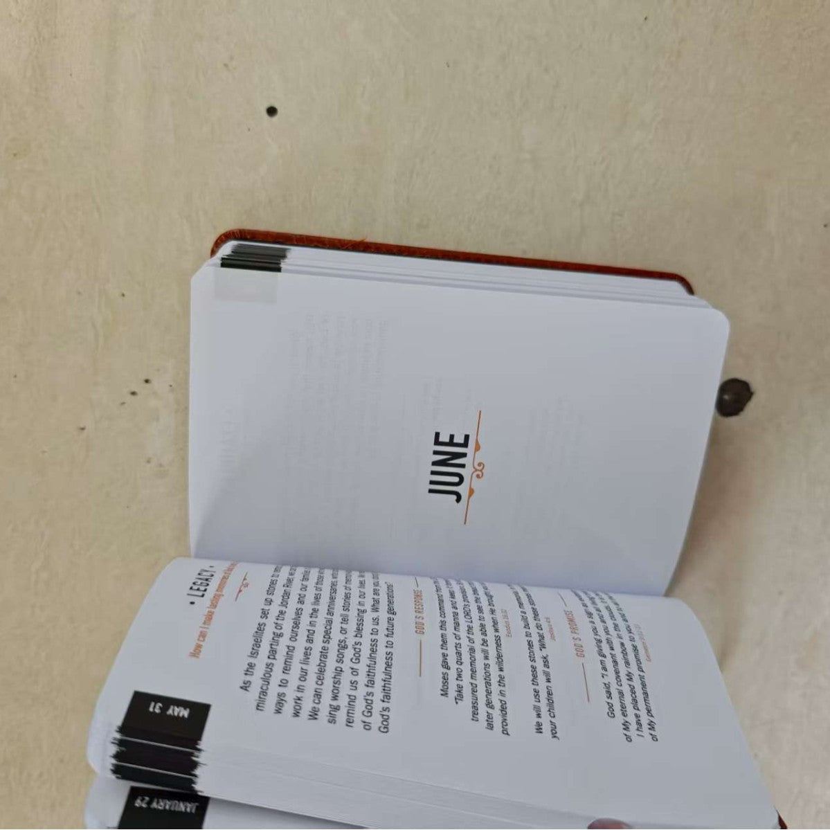Daily Prayer Devotional Book