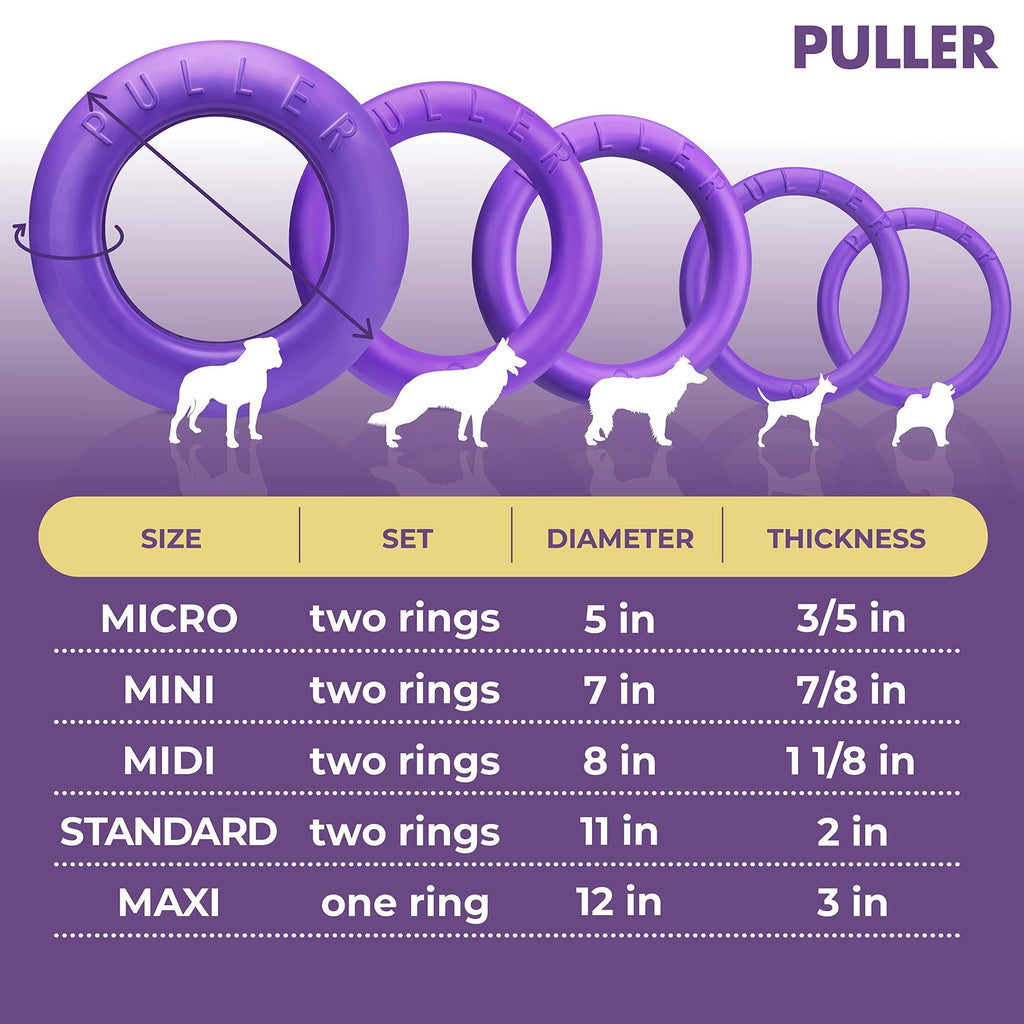 Dog Ring Fetch Toy Small Dogs Mini Size 2 Rings Purple
