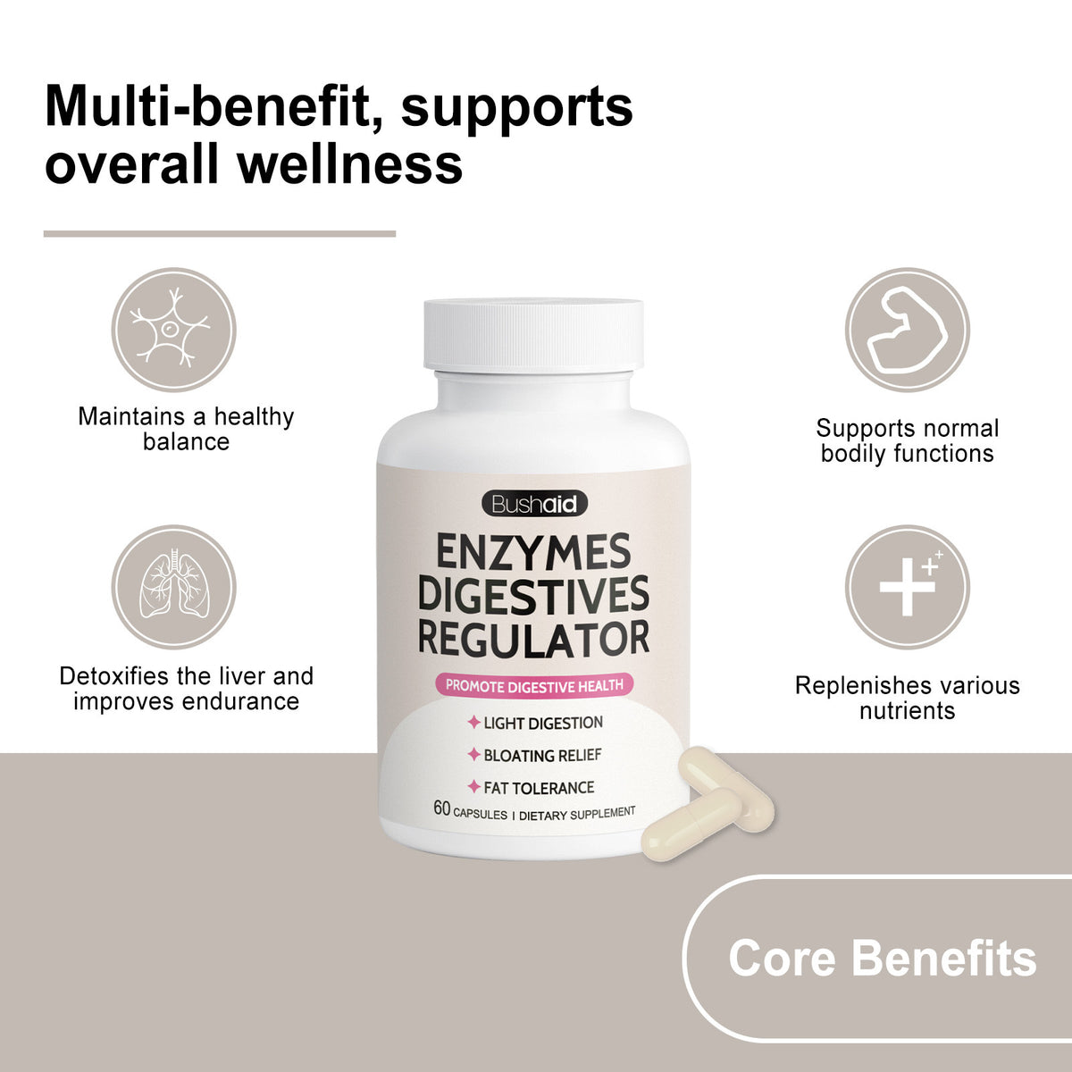 Digestive Enzyme Support Capsules for Vascular Health