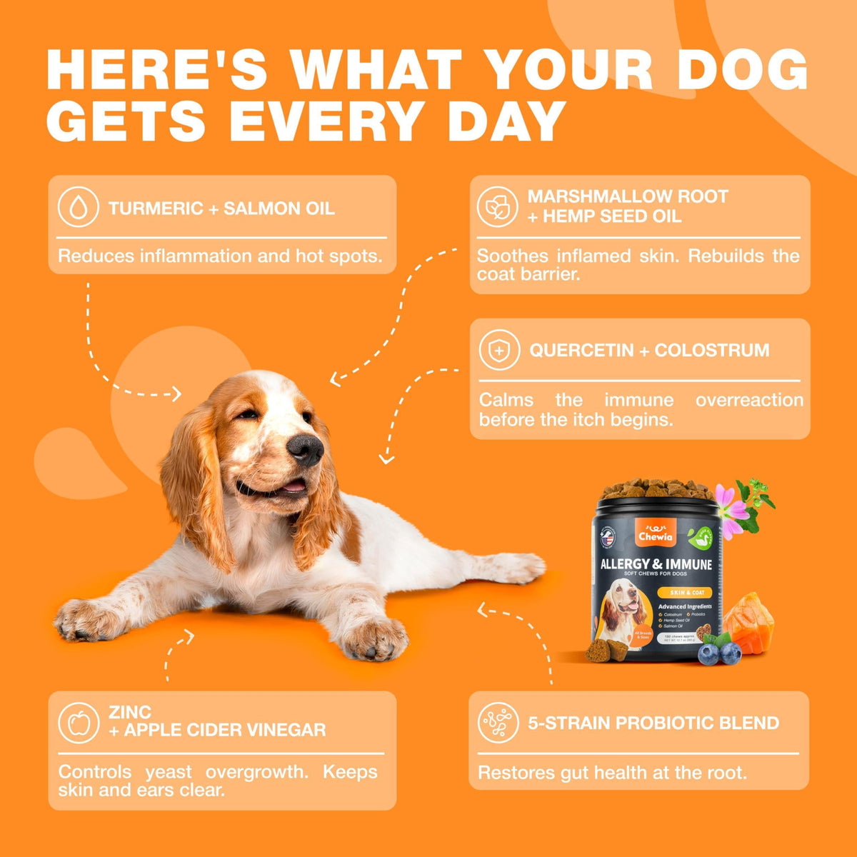 Dog Allergy Relief Chews  Itch Relief for Dogs  180 Allergy Chews for Itching Skin with Probiotics, Colostrum, Salmon Oil  Allergy, Skin and Coat, Immune, Digestion Support Supplement  Hot Spots