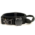 Nylon dog collar